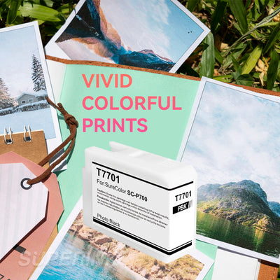 Compatible T770 UltraChrome PRO10 T770120 Photo Black Ink Cartridge