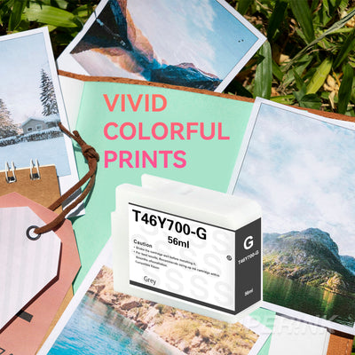 Compatible Epson T46Y700 Gray Ink Cartridge