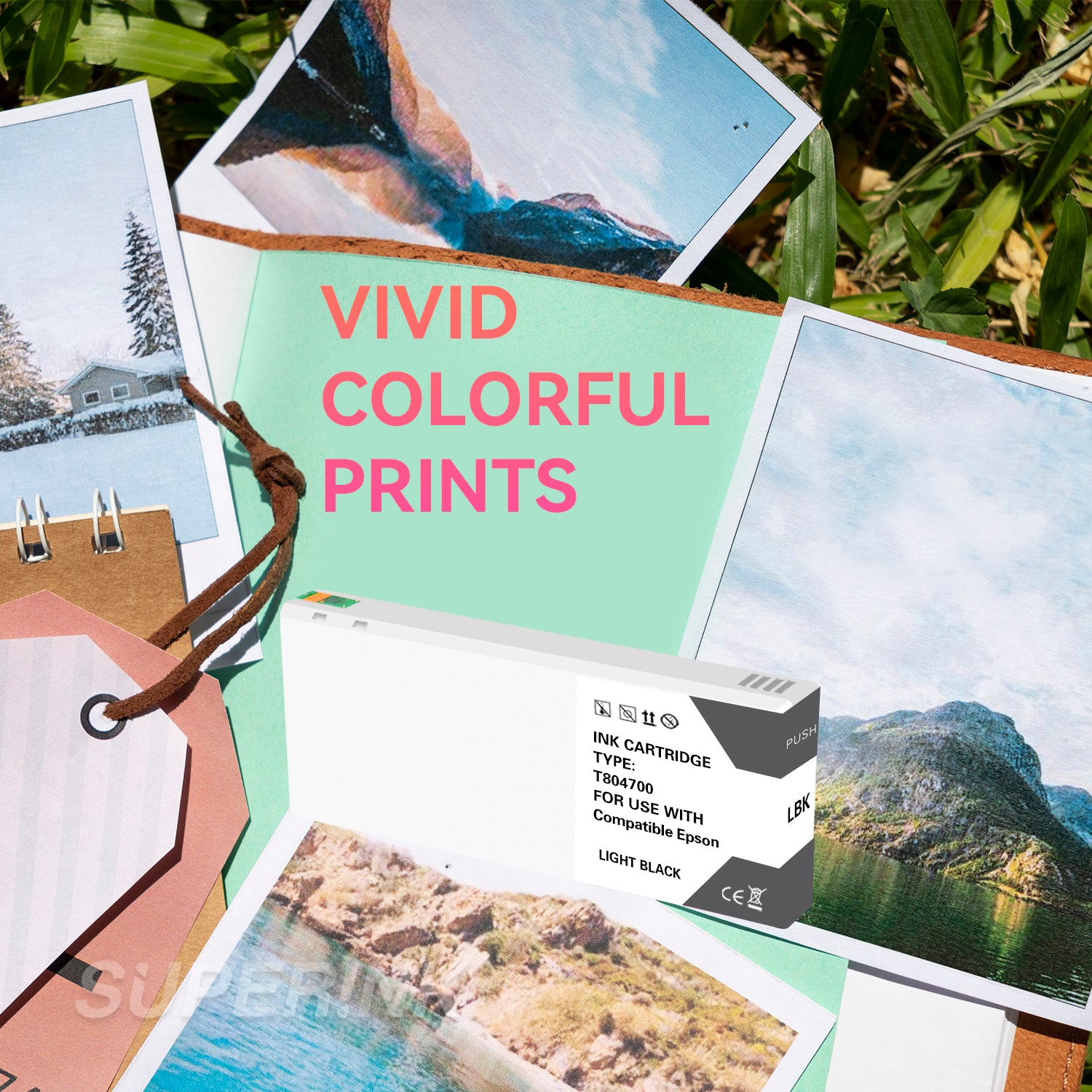 Compatible Epson T804700 Light Black Ink Cartridge By Superink