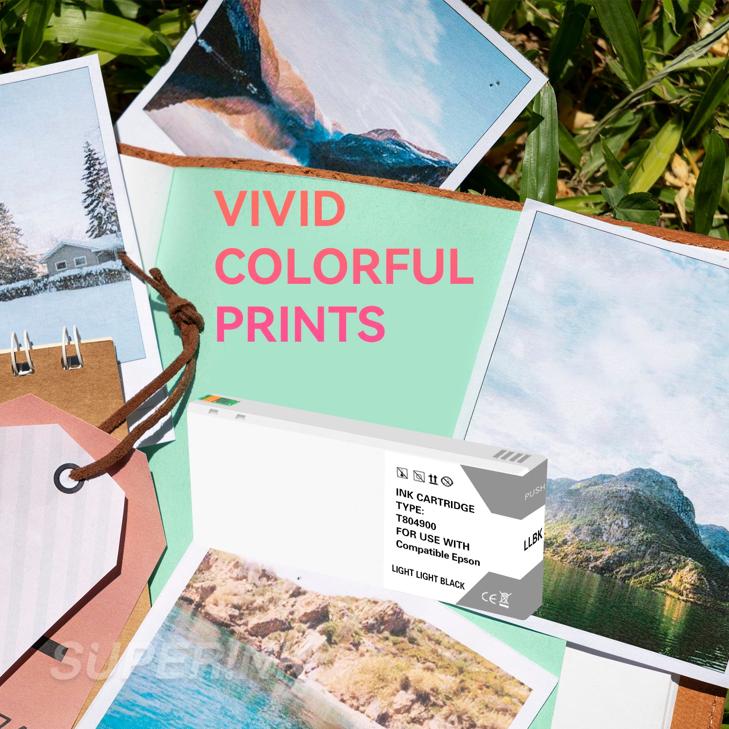 Compatible Epson T804900 Light Light Black Ink Cartridge By Superink